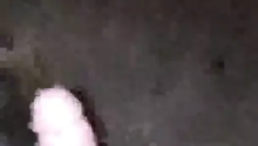 Unos sapecitos