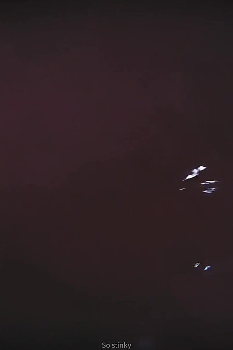 B035 el hombre que se reduce es tragado por el coño de la belleza asiática