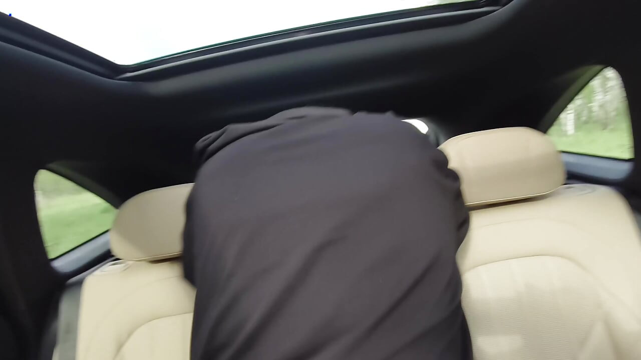 Выезд в лес