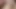 Viktor669    Hairy Latino Bear Stroking My Cock