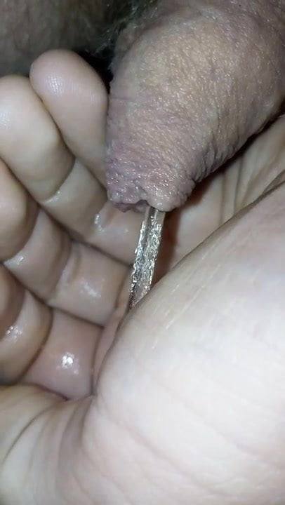 My pissing cock. Tomek Rebacz