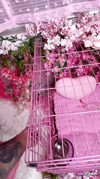 Chambre rose, épisode 33 : Zoey et Jessica, salopes latina excitées, adorent la bite