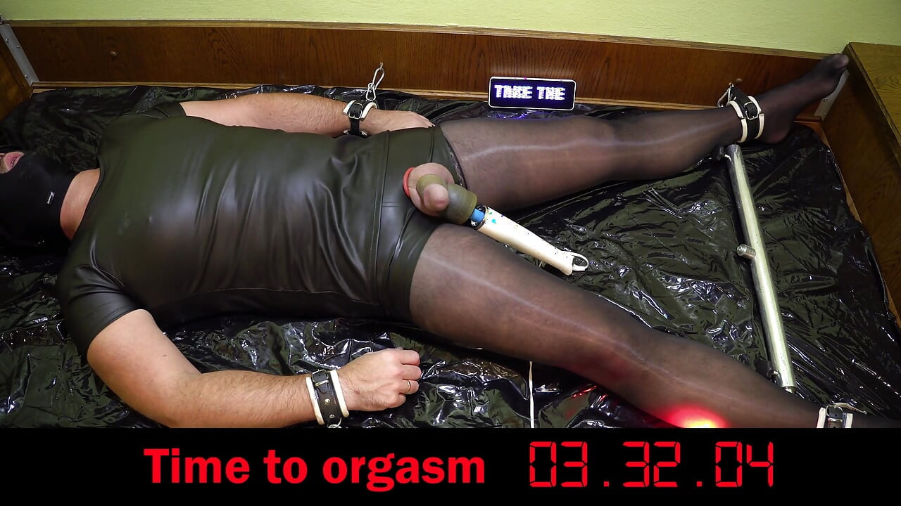 Sperm Donor Is Milked by Ai