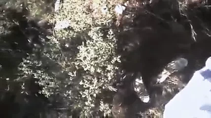 Awesome beautiful Greek Lady in outdoor threesome