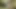 Erwischt und hart gefickt für einen riesigen BBC forest creampie