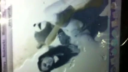 Pandagirl18