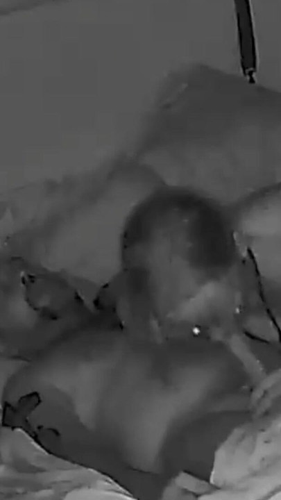 Unforgettable moment from "He gets a blowjob before going to bed"