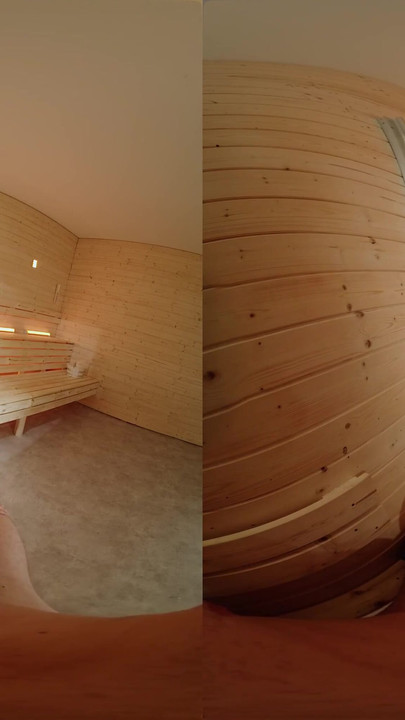 Iconic moment from "Fuck Me in the Sauna - Virtual Real Porn"