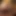 Petra Pearl ve Nicole Evans dildo oynuyor