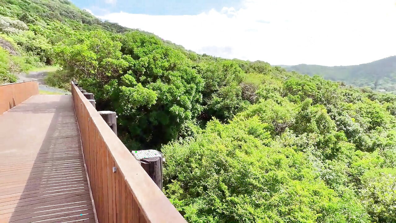 That View or Me?