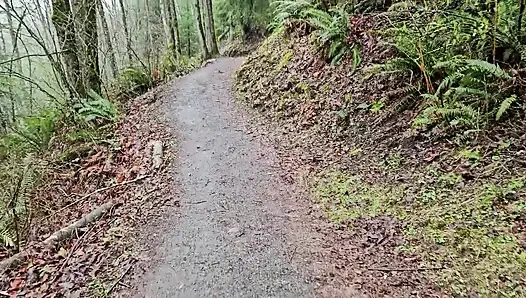 Yağmurlu Bir Günde Yürüyüş-n-sidik