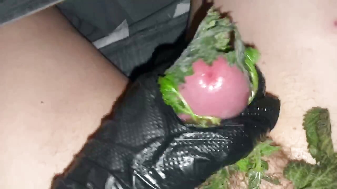 Brennnessel hart kochen Masturbation Penis extreme Brennnessel Spiel Schwanz hardcore