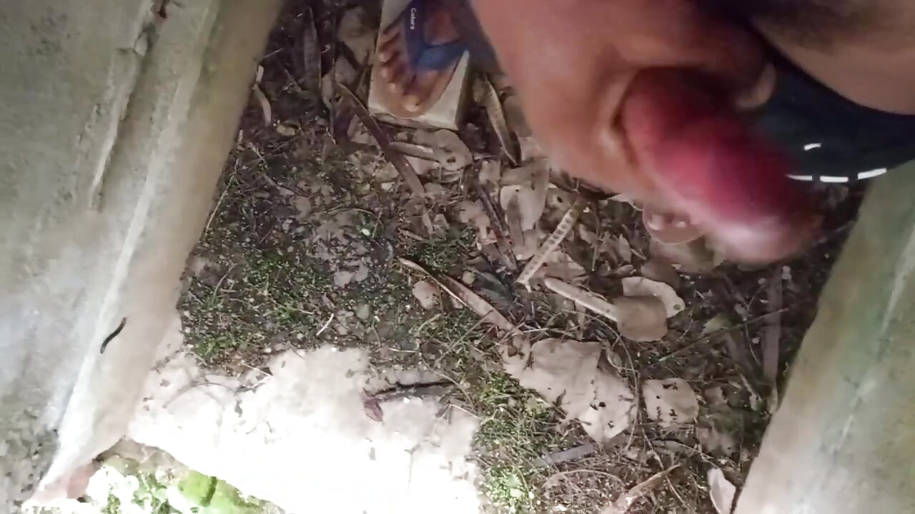 Hoje eu assaltado no mundo da família