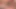 Nut Derlemesi #3