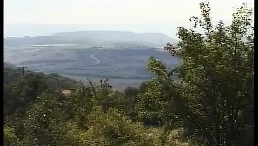 Даму из Германии трахнули на улице в любительском видео