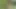 My first Public undressing and pussy masturbation. Erotic nature walk by the lake