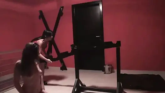 Kölesinin götüne şaplak atıyor