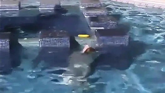 Madison Young, Jenni Lee ve Star