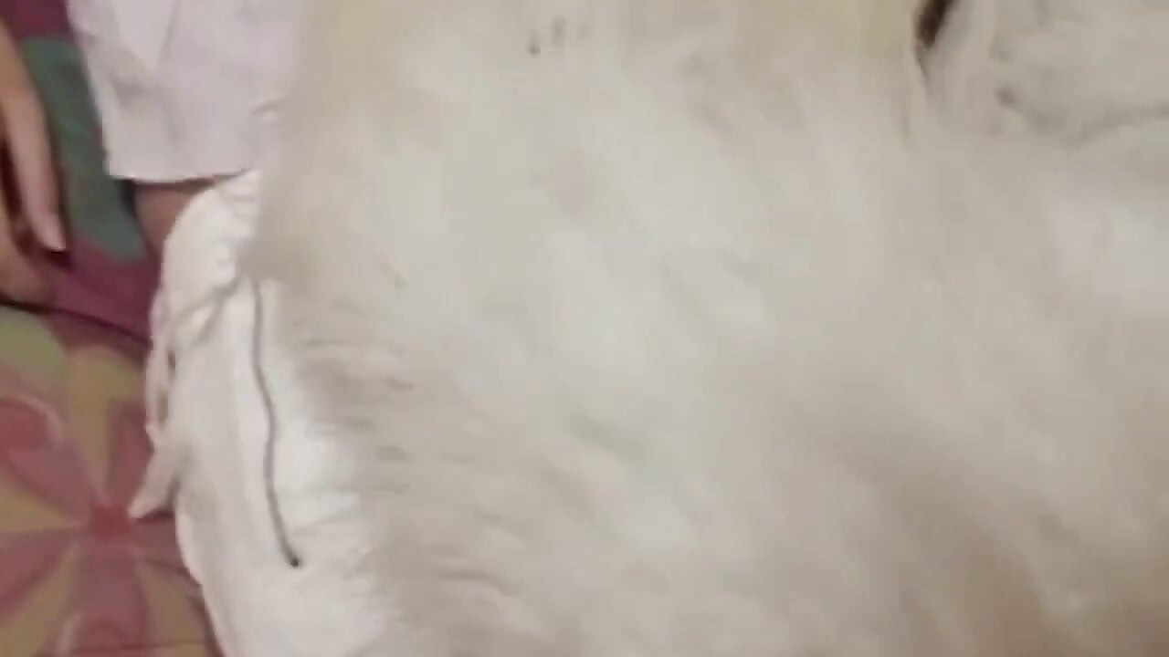 Mature Brunette MILF Rides Furry Toy with Drool