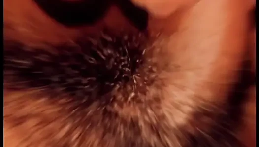 Istri tetek besar desi mengisap