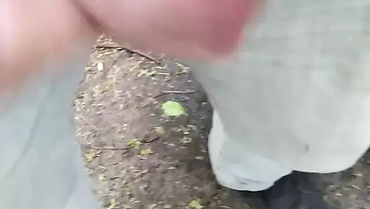 Spust wplenerku