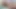 Hairy lesbians fuck in the bedroom