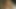プロのマッサージ師に脱がせて、結局毛深い膣に射精してしまいました