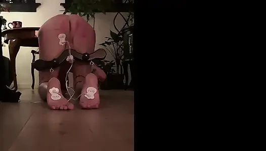 Крайне самодельное видео с успокаивающей электронной музыкой и унизительным тоном; Слушайте, как он борется!