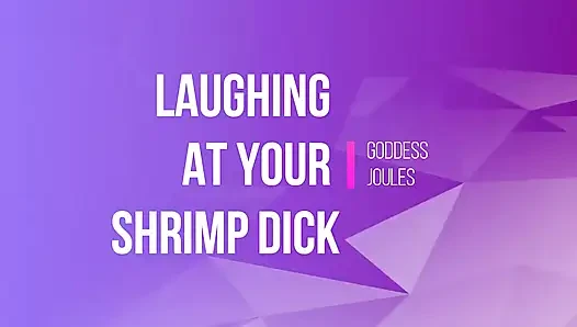 Thanks for the Laughs Shrimpdick