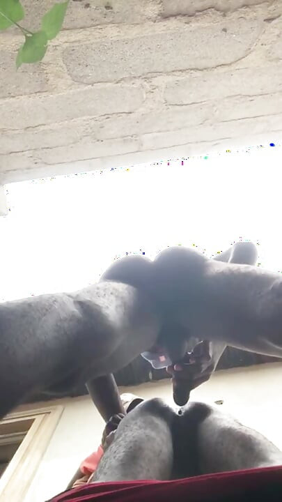 Doggy Bareback Below View