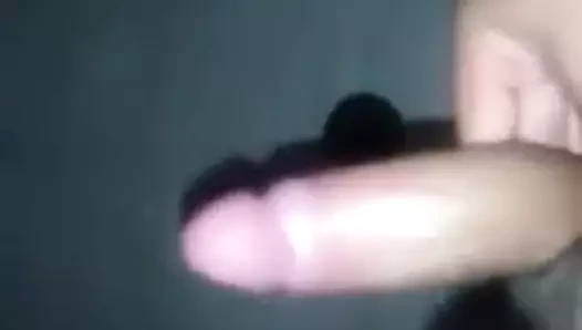 Penis ve güdük