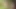 Brunette shemale in tight skirt sucks cock and gets fucked on lawn