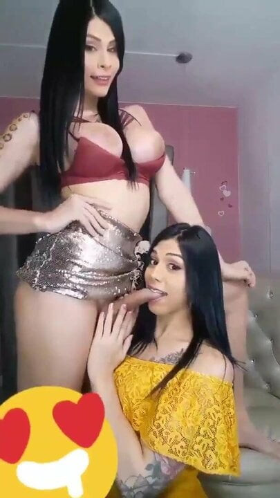 Shemale Hardcore Sex 131