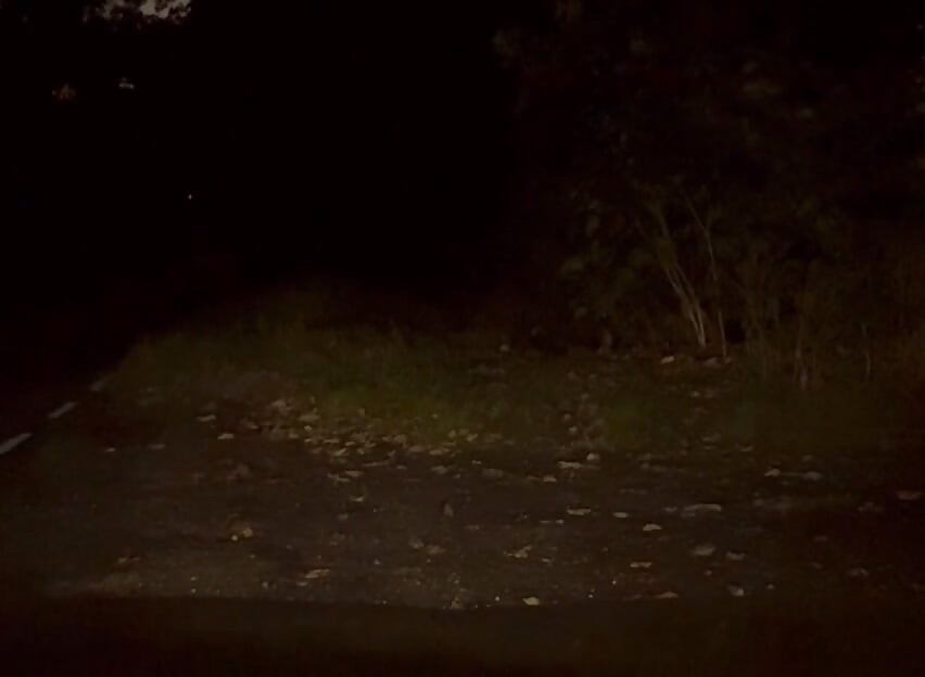Wanking naked outside in road , few cars pass