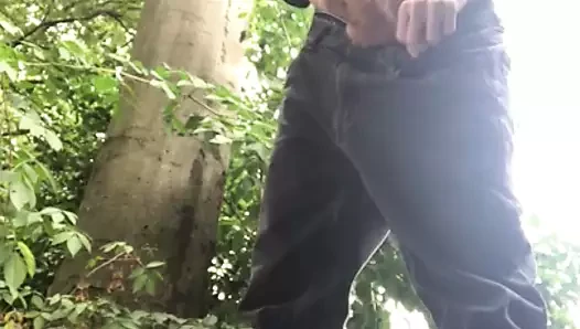 kamu