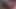 CUMSHOTS IN THE PANTIES OF MY MATURE WIFE, LATINA MOTHER
