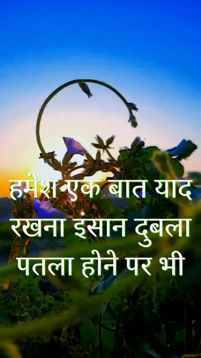 .nature lover