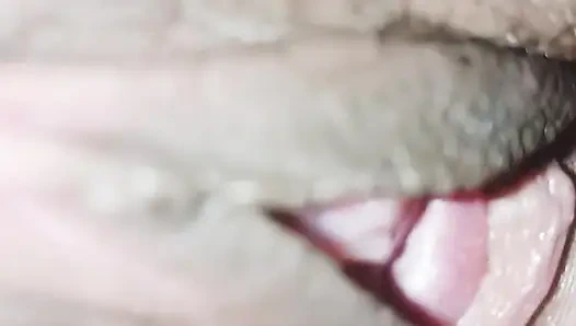 Pinke nahaufnahme muschi- und schwanz-sex