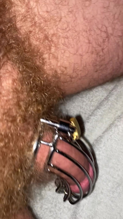 我的鸡巴被绑在笼子里