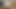 First time sounding - cumshot shoots the sound out!