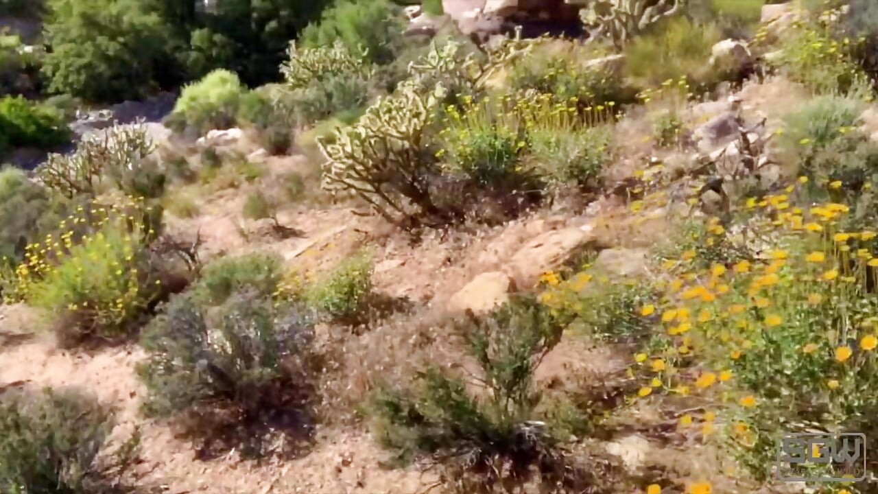 Hiking in thongs and fucking in Red Rock Canyon.