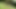 Curly Latin blonde gets all her holes penetrated on grass