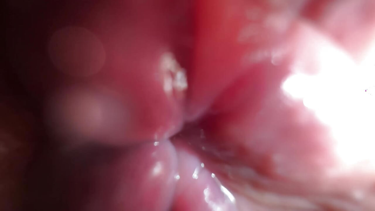 Extremely close up ass worship and talk