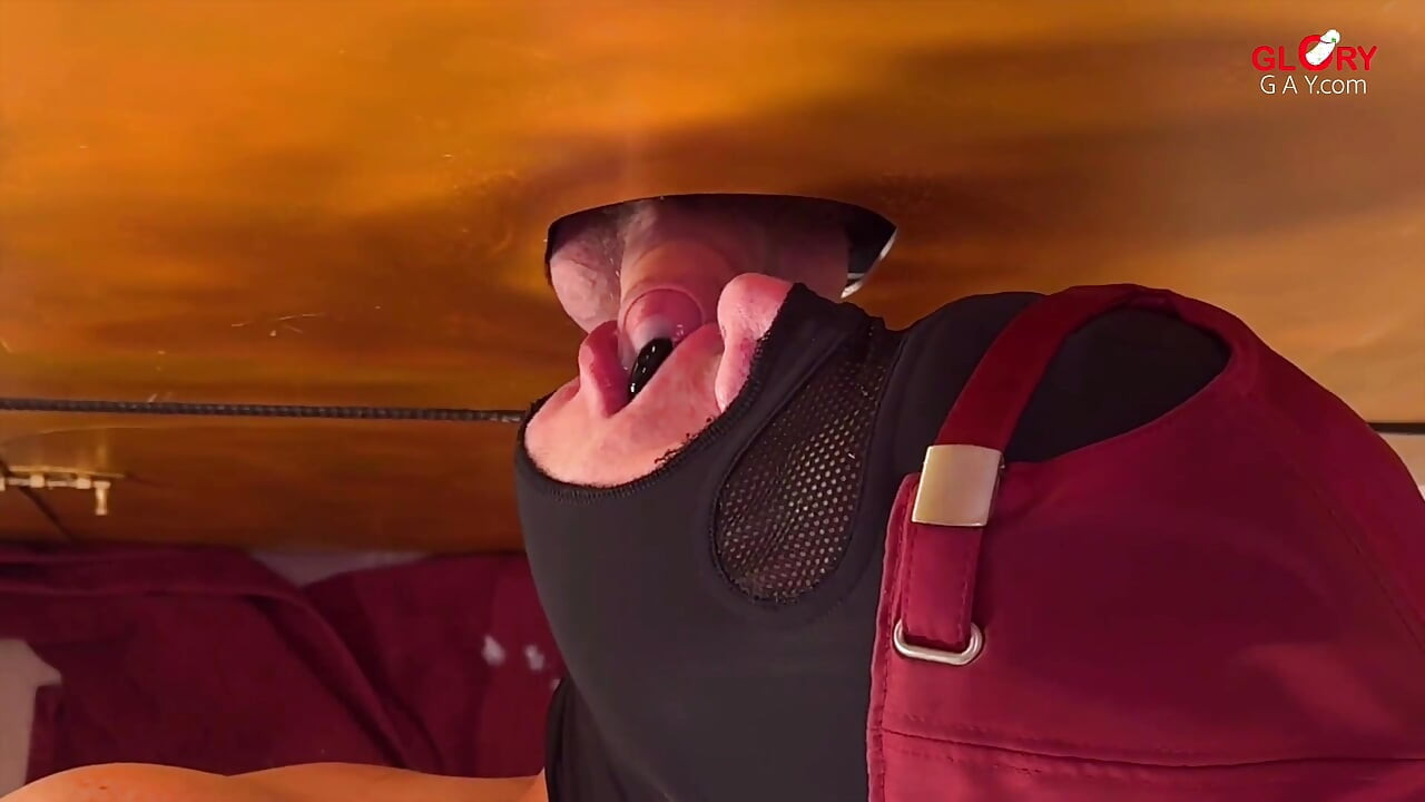 Książę Albert w chwały: Nasiono, które pozostaje uwięzione w żołędziu