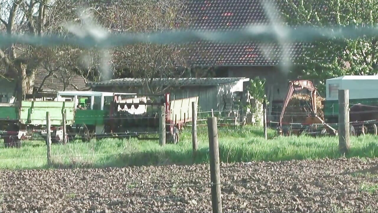 Nemțoaică - Mizerie în porc 4 DVD complet