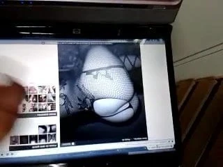 tribute