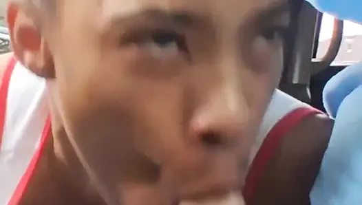 Zierliches ebenholz würgt auf dickem schwanz