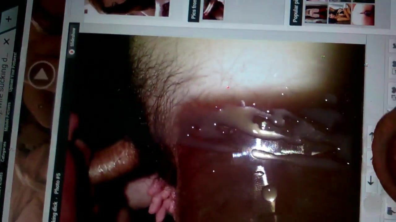 cum tribute only n1 wife