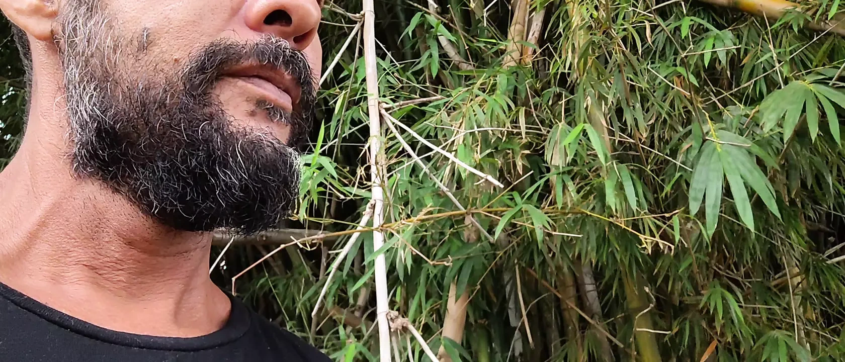 Back to my Origins – Vlog now 4
