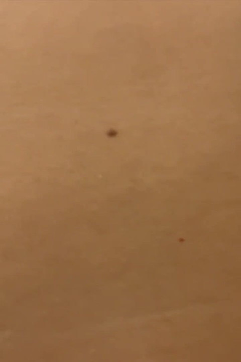 Where is my stepmom? In bed? Let me go find her